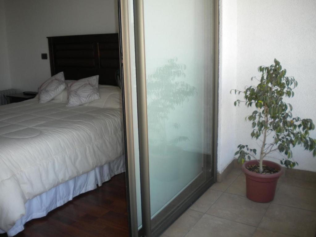 Barcelo Suites Providencia I سانتياغو الغرفة الصورة